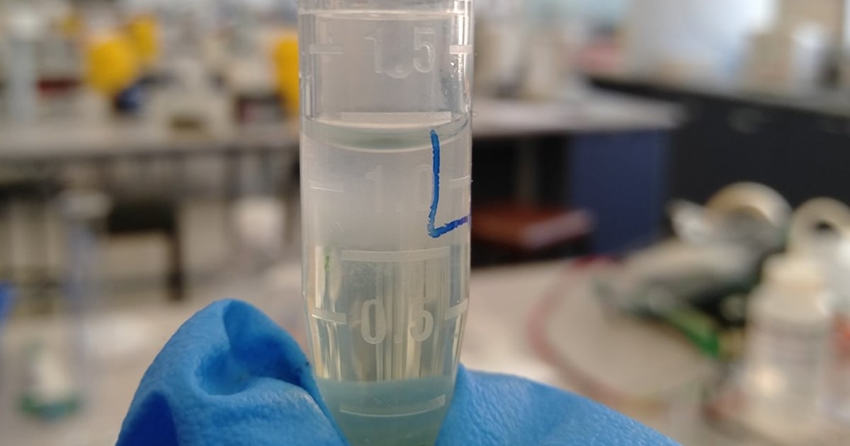 Biostimulants in Agriculture: What they are and how they work