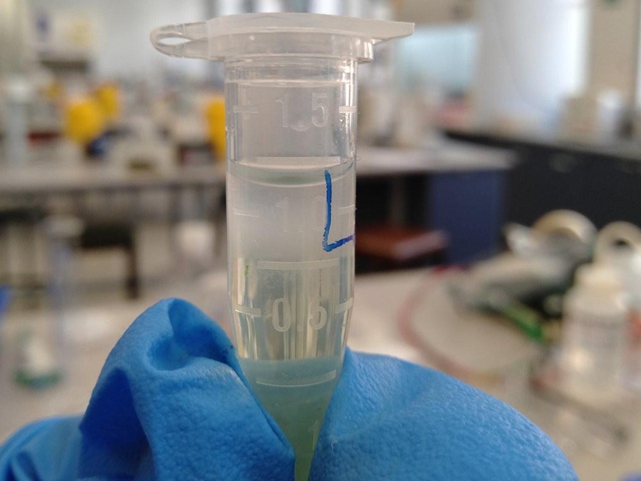 Biostimulants in Agriculture: What they are and how they work