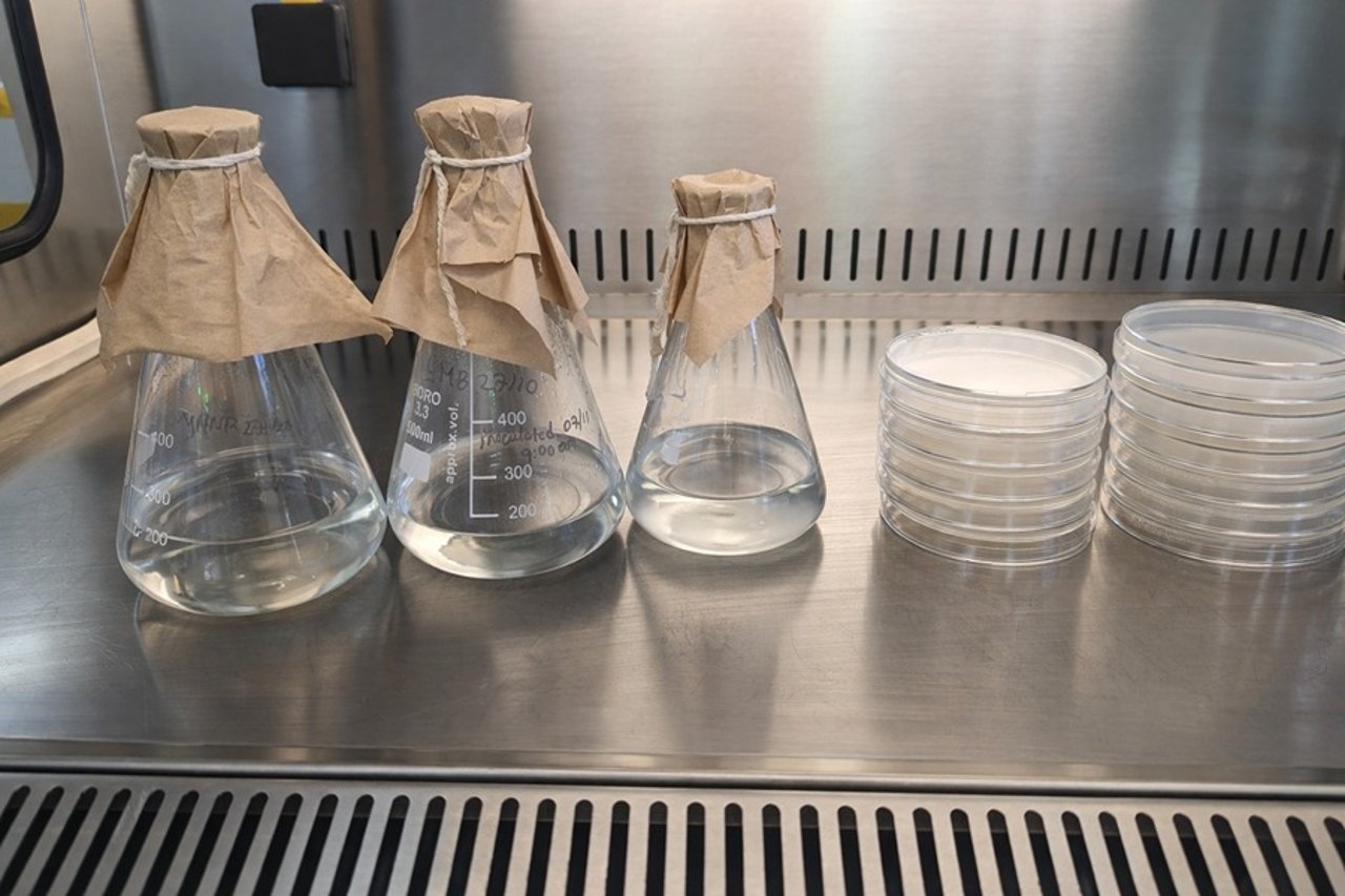 Biologicals are not chemicals — And that’s the first thing we need to understand