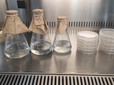 clear-dato-flasks.jpg